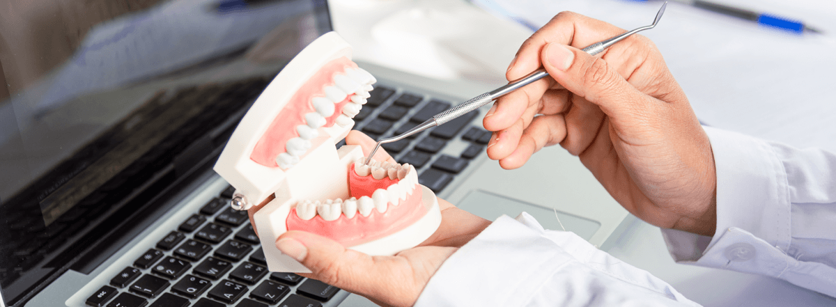 dental demonstration model